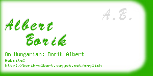albert borik business card